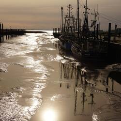 Auch die Krabbenkutter warten auf Wasser