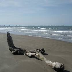 Stand mit Veracruz im Hintergund