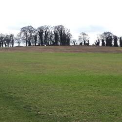 Magog Down - North Down
