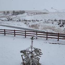 At 2:00p, we have some accumulation as the fluffy snow continues to fall — Colorado Springs, CO.