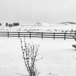 View from our basement window — Colorado Springs, CO.