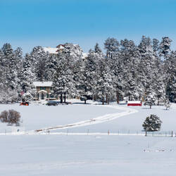 Black Forest ... winter wonderland — Colorado Springs, CO.