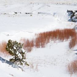 Winter wonderland — Colorado Springs, CO.