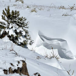 Winter wonderland — Colorado Springs, CO.
