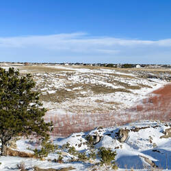 Afternoon view of the arroyo from our deck — Colorado Springs, CO.