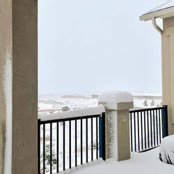 At 8:30a ... still snowing ... we have about 8" — Colorado Springs, CO.
