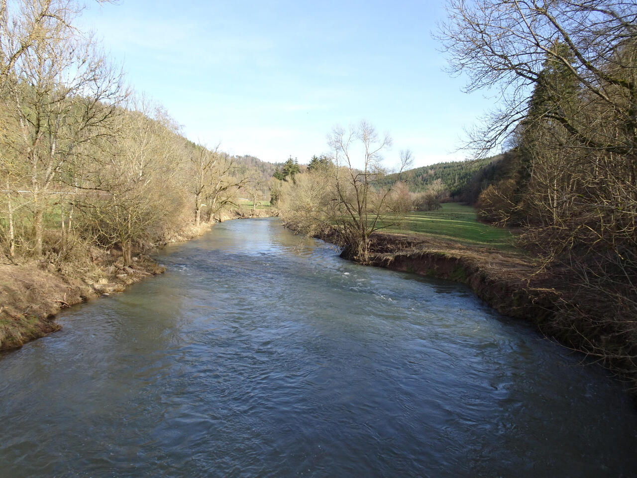 Der Neckar kurz vor der Mündung der Glatt