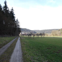 Der Neckartal-Radweg rechts im Bild ist heute viel befahren.