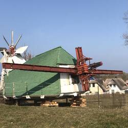 Hier der Kopf.