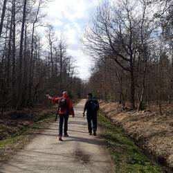 DüsselSieg und mein Sohn auf der Wanderautobahn!