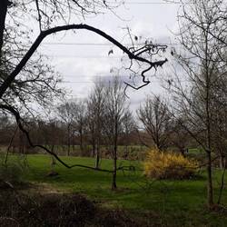 Die Aggeraue! Nebenfluss der Sieg!