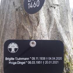 Plötzlich standen wir mitten in einem Friedwald!