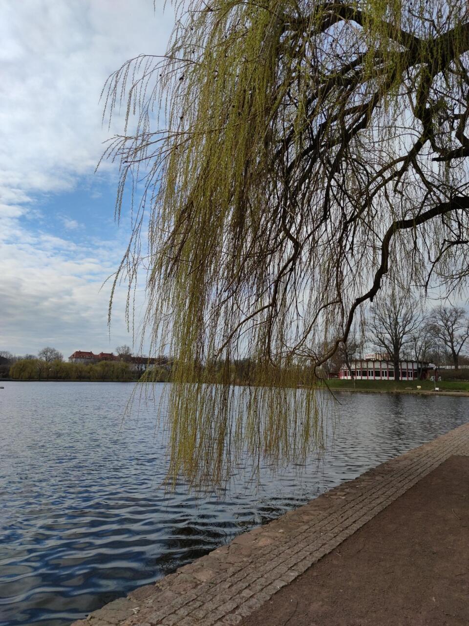 Gotthardtsteich