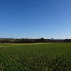 Im Hintergrund die Schwäbische Alb