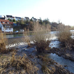 Neckar bei Mittelstadt