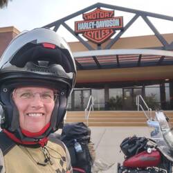 Gainesville Harley-Davidson, FL