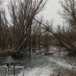 Wasserablass in toten Saalearm