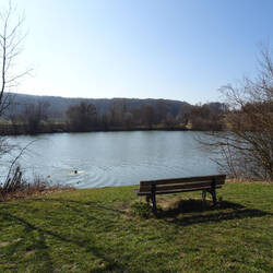 Schwimmer im Aileswasensee bei Neckartailfingen