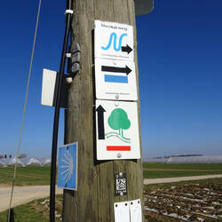 Gemeinsames Wegstück: Neckarweg, Jabobsweg und HW3