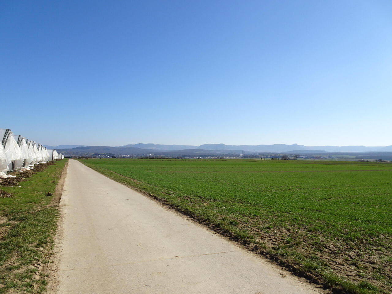 links die Gewächshäuser, rechts der Schwäbische Alb-Blick