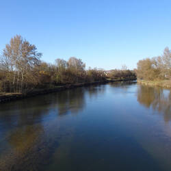 Neckar bei Wendlingen
