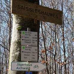 Der Neckarweg ist hier hauptsächlich durch den HW3 markiert