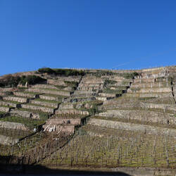 Weinbergtrassen zwischen Esslingen und Mettingen