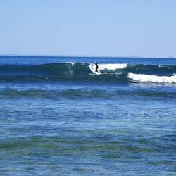 Brax - wave of the day