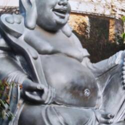 Glücksbudda