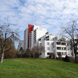 Wohngebäude oberhalb des Neckars