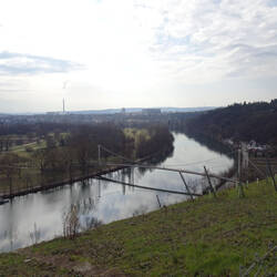 Neckarblick zurück nach Stuttgart-Münster