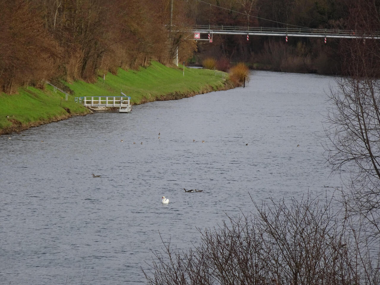 Blick auf den Neckar bei Neckarrems