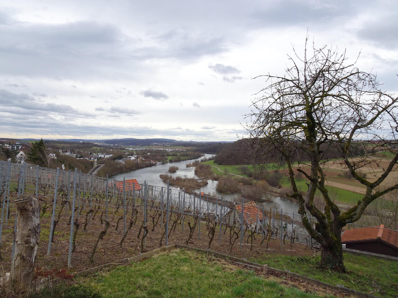 Neckarblick in der Nähe von Poppenweiler auf das Biotop Zugwiesen