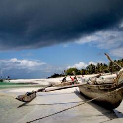 Amazing colors - Impression from Diani Beach 🌴🌴🌴!