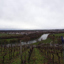 Blick zurück auf Pfleidelsheim