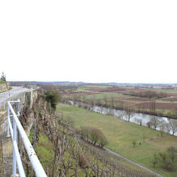 Weinanbau an Steillagen