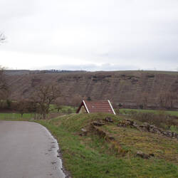 Weinanbau an den Steillagen des Neckars (Mühlbachweinberge)