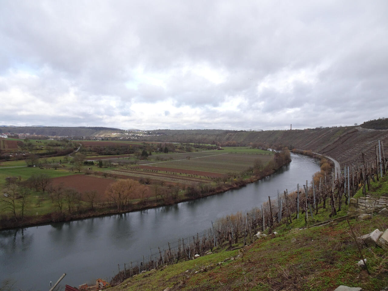 Neckarblick von unterhalb der Hessigheimer Gärten