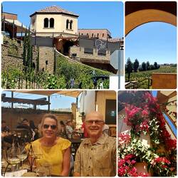 Wine tasting and lunch at Fazeli Cellars