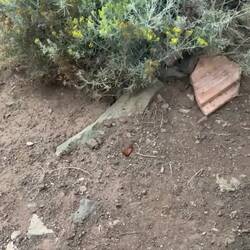 Üse kolleg de ferdinand😄