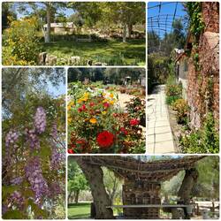 The gardens at Temecula Olive Oil Ranch