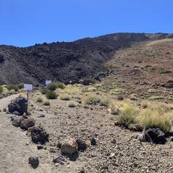 Eieder auf dem Abstieg, hier der etwas strilere Teil vom Aufstieg (1/3 und 2/3)