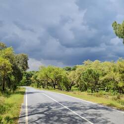 Thunder clouds gathering again!