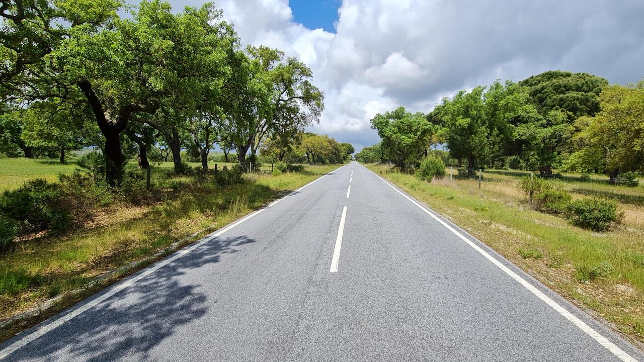 This photo says it all! 30 kms straight tarred road.
