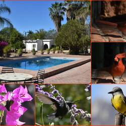 Am Pool auf dem Camping Rancho Acosta