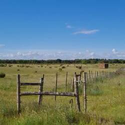 A yet there is beauty everywhere.