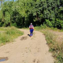 Beautiful landscapes in the protected Tejo delta