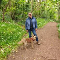 Abundance of flowers