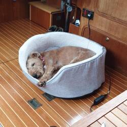 Orla just not bothered by the bumpy boat!