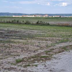 Endless agricultural surfaces